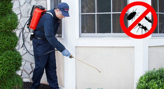Bahçe Böcek ve Haşere İlaçlama böcek ilaçlama ve haşere kontrolü — ilaclama-tr.com